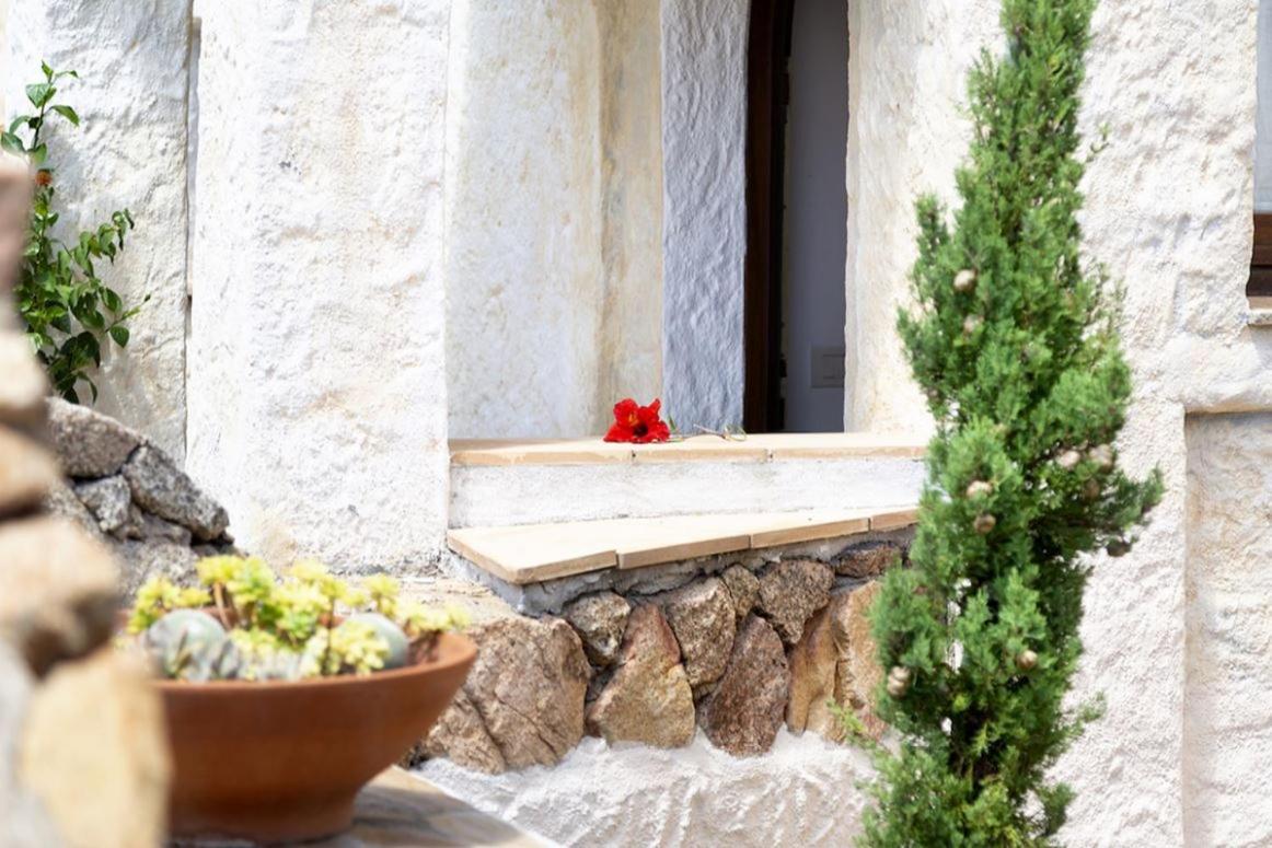Villa Punta Saline Cannigione Exterior photo